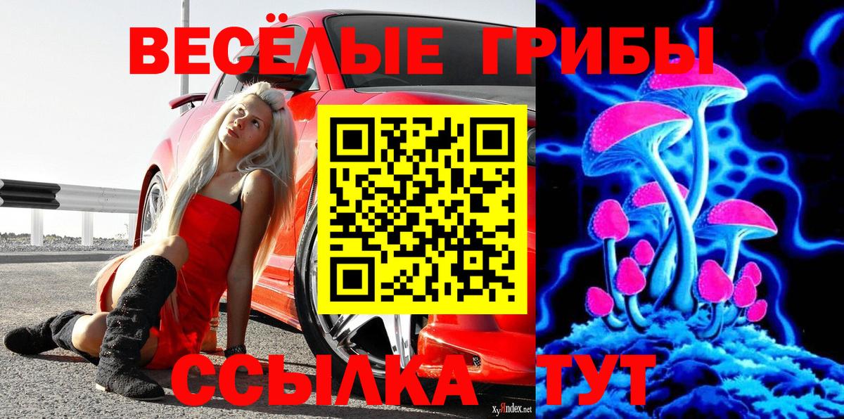 Галлюциногенные грибы GOLDEN TEACHER  Вход с VPN  Вологда  Галлюциногенные грибы Magic Shrooms 