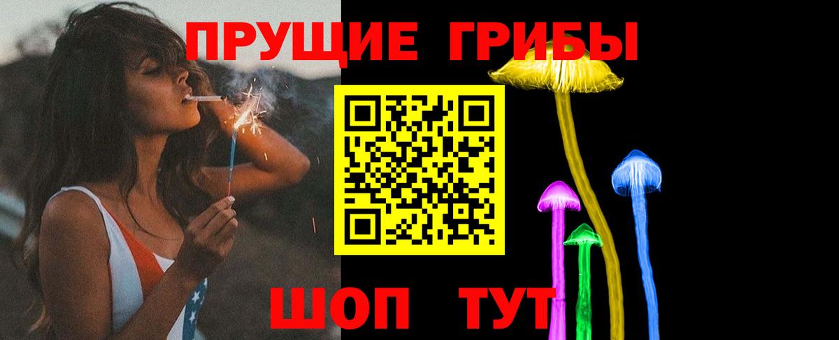 Галлюциногенные грибы Psilocybe Вологда