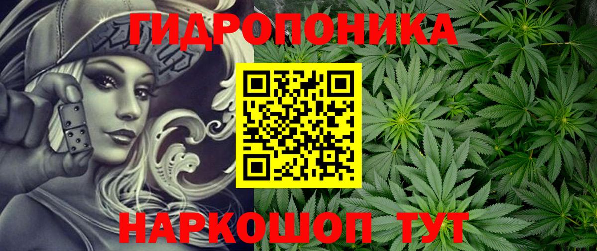 МАРИХУАНА план  Бошки Шишки тримм  Шишки марихуана ГИДРОПОН  Вход с VPN  Вологда 